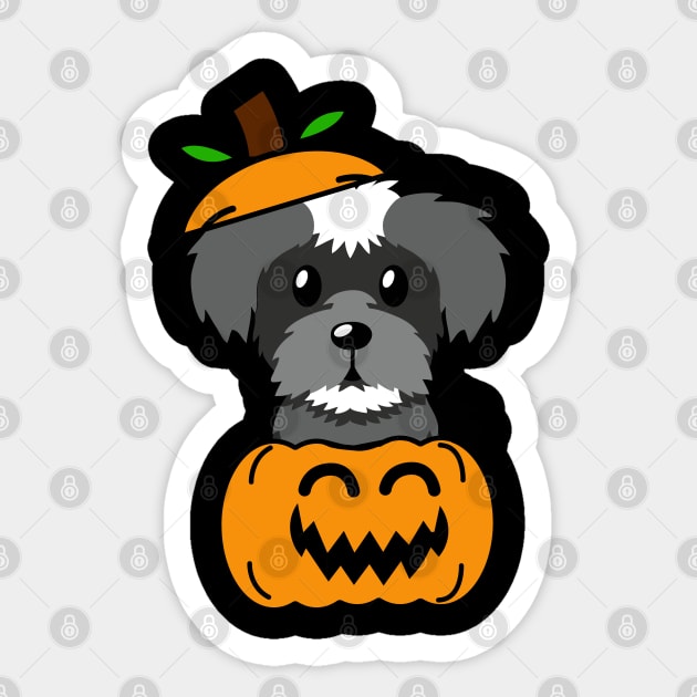 Funny Schnauzer is in a pumpkin Sticker by Pet Station